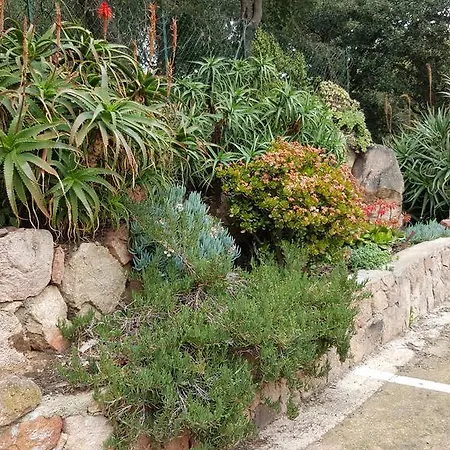 Corsica Porto-vecchio, Partie Dortoirs פורטו-וישיו