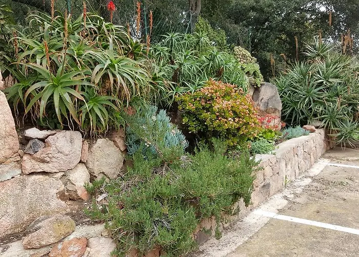 Corsica Porto-vecchio, Partie Dortoirs Порто-Веккьо